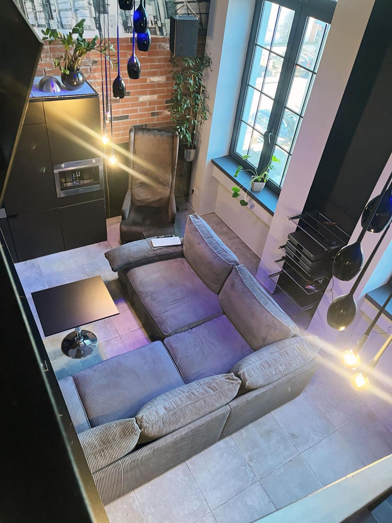 Loft Przedzalnia Apartment Zyrardow